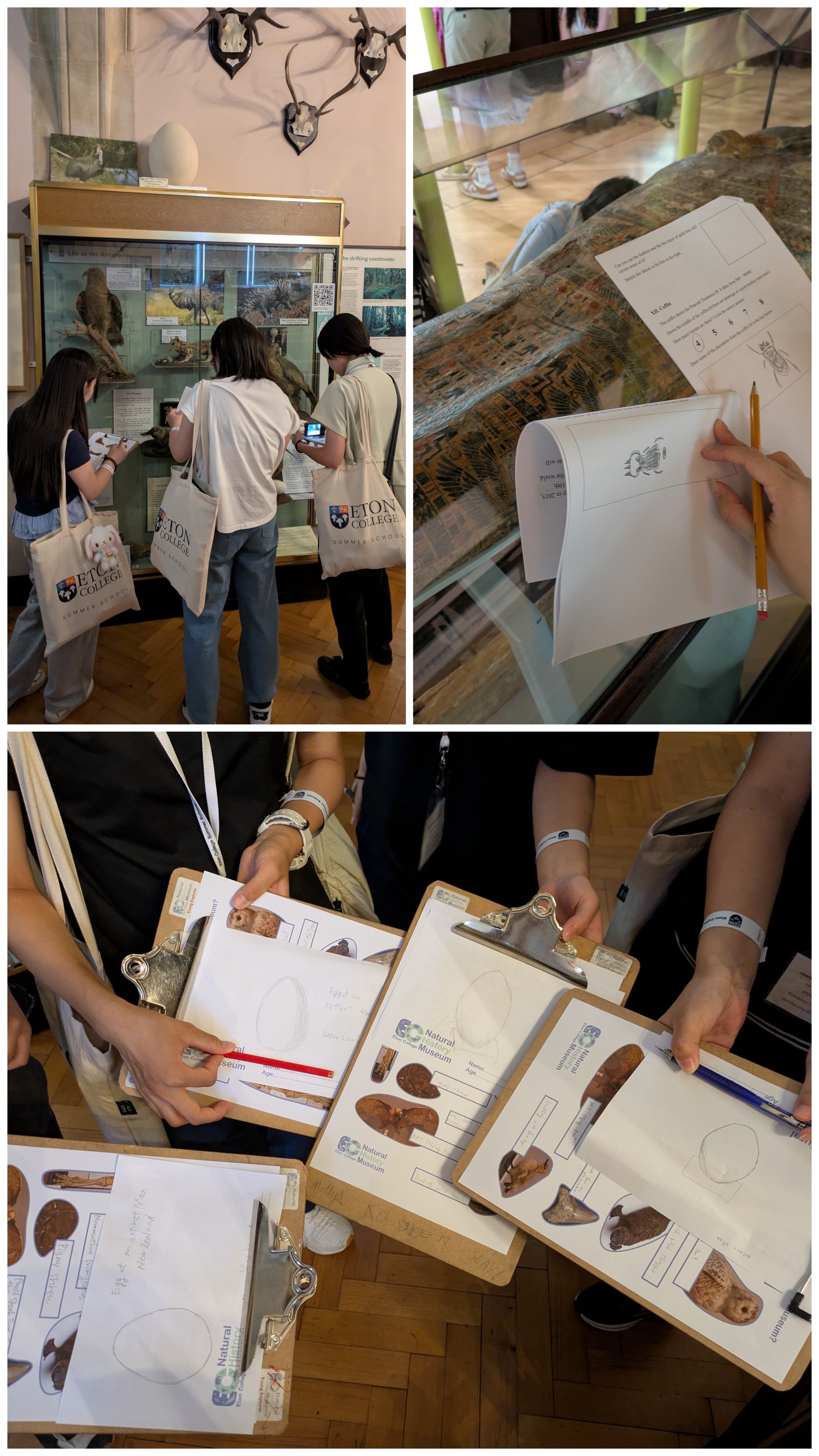20260731_234617-COLLAGE.jpg