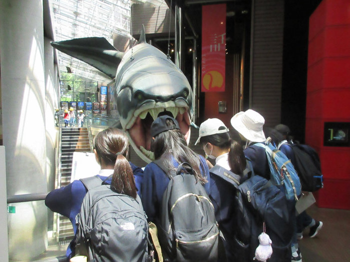 20250529_01.jpg